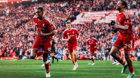 Bao tải tiền 248 triệu bảng của Liverpool bắt đầu sinh lời